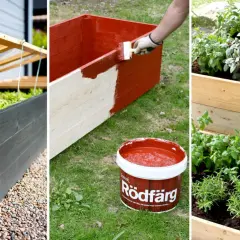 Steg för steg: bygga egen pallkrage. Måla, plantera och njut av din nya odlingslåda.