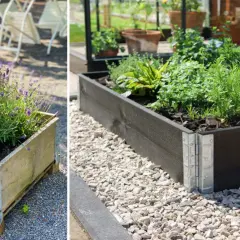 Odla i pallkrage tips: En pallkrage med lavendel och en annan med örter visar hur fint det kan bli.