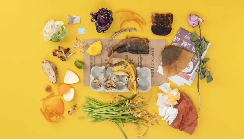 En samling organiskt avfall: bananskal, fiskskelett, bränt bröd, grönsaker, blommor och papper.