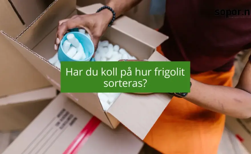 Var ska frigolit slängas? Så sorterar du rätt