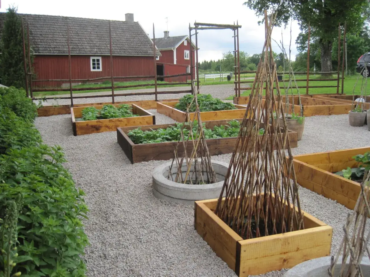 Grus runt pallkragar med gr&ouml;na plantor. En idyllisk tr&auml;dg&aring;rd med r&ouml;da hus i bakgrunden.
