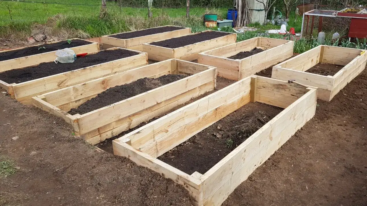 Flera pallkragar fyllda med jord st&aring;r redo f&ouml;r plantering. Ett perfekt s&auml;tt att b&ouml;rja bygga med pallkragar f&ouml;r en frodig tr&auml;dg&aring;rd.